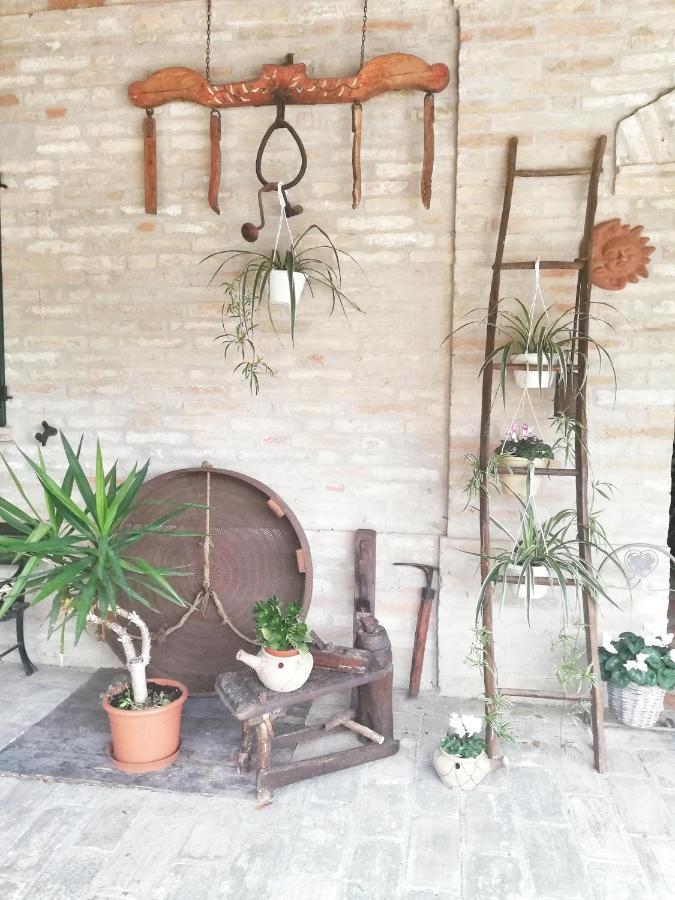 Casa Vacanza Flora Grottazzolina المظهر الخارجي الصورة