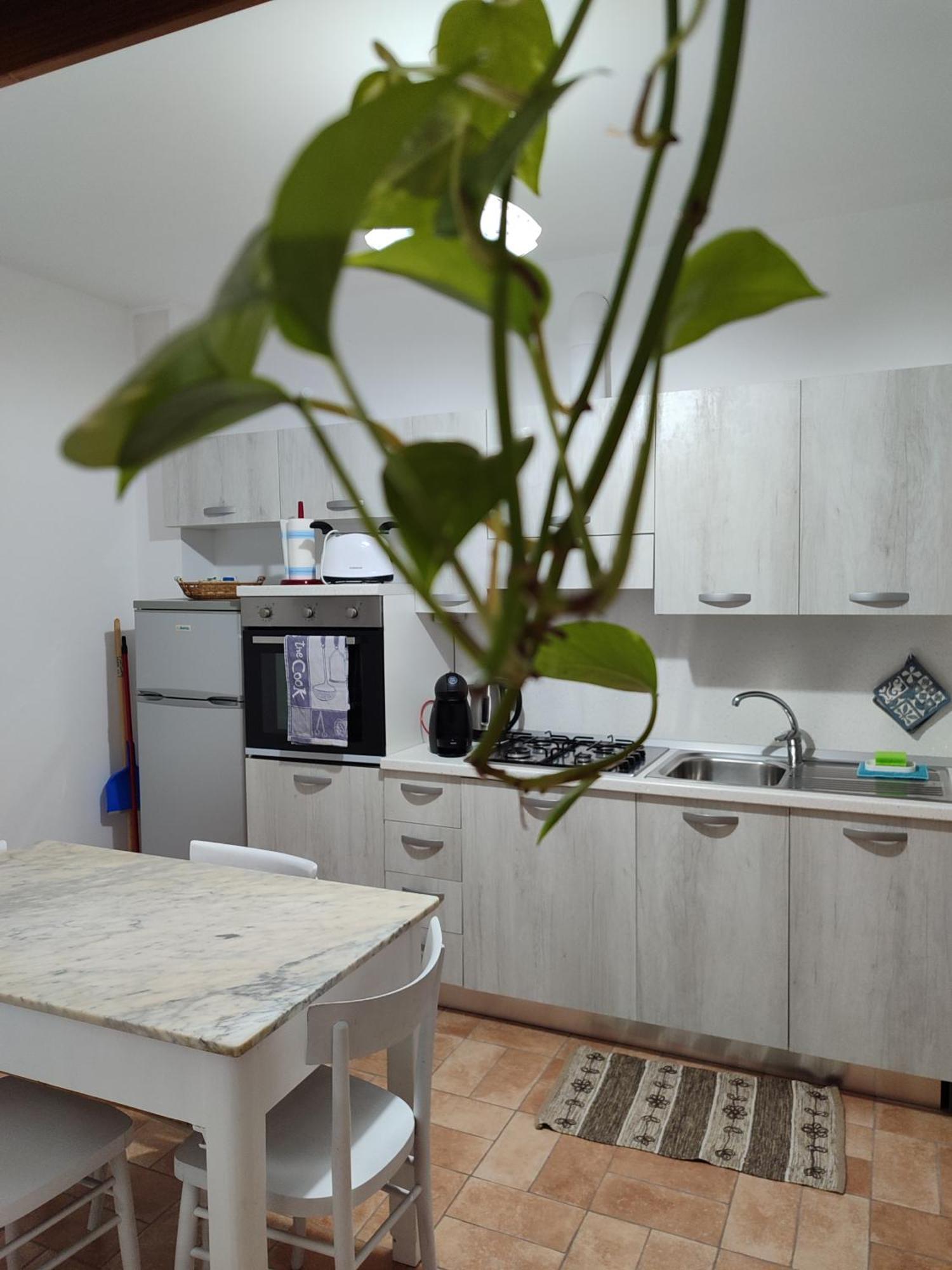 Casa Vacanza Flora Grottazzolina المظهر الخارجي الصورة